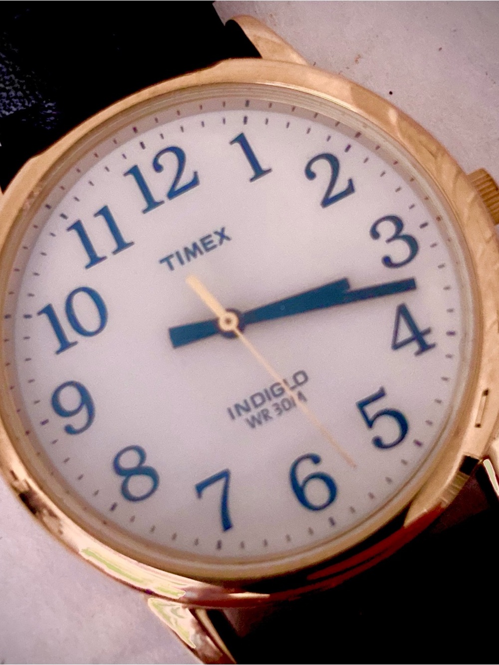 Timex Unisex Indiglo Easy Reader Gold Case Watch with Black Strap